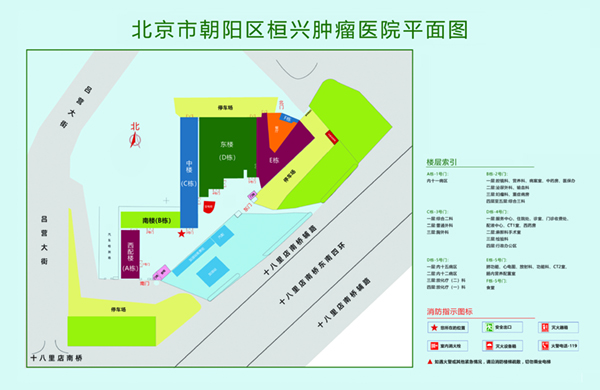 日本操屄污视频北京市朝阳区桓兴肿瘤医院平面图